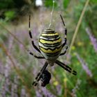 Exotischer Besuch