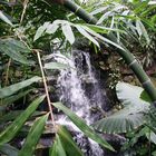 Exotischer Wasserfall