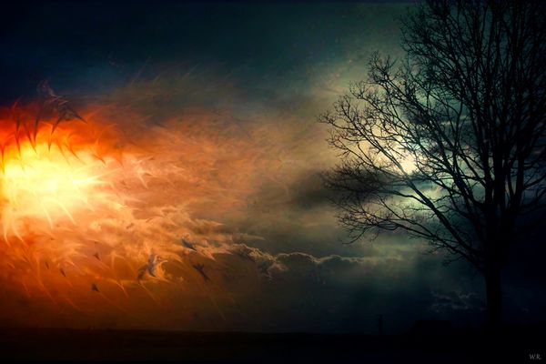 Expansion of consciousness 1