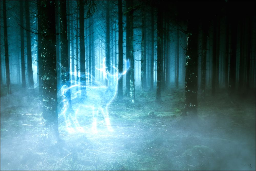 expecto patronum