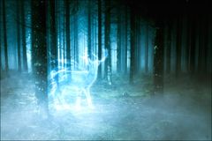 expecto patronum