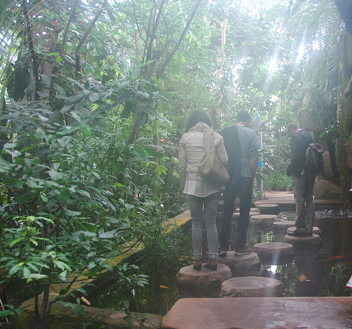 Expedition im Regenwald