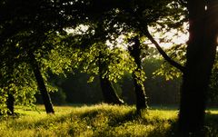 Expedition in den "Primärwald" Teil 1