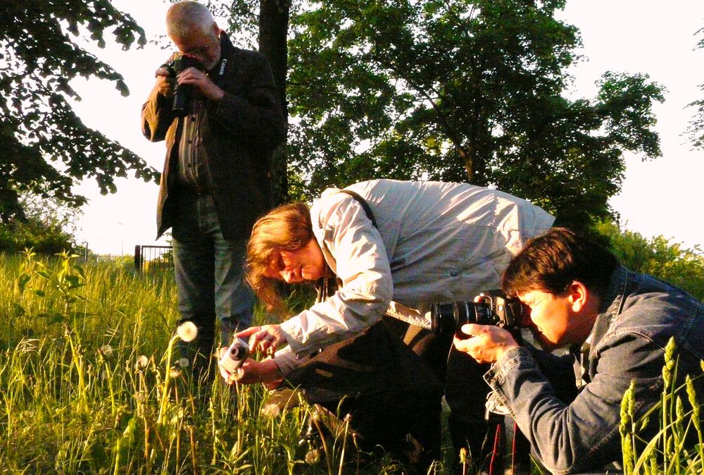 Expedition in den "Primärwald" Teil 2