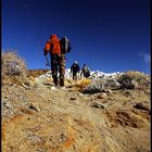 Expedition Jurassic Lake