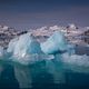 Arktis Spitzbergen