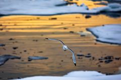 Expedition Spitzbergen