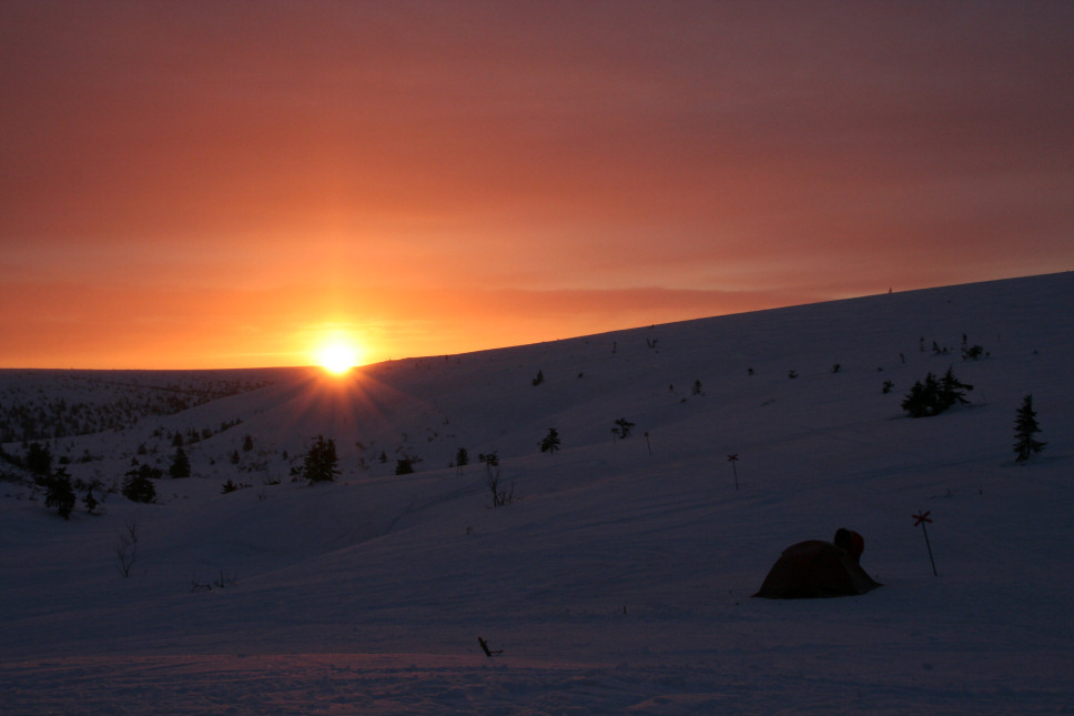 Expedition zur Sonne