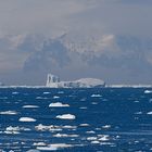 Expeditions-Reise in die Antarktis mit 'Roald Amundsen', Hurtigruten