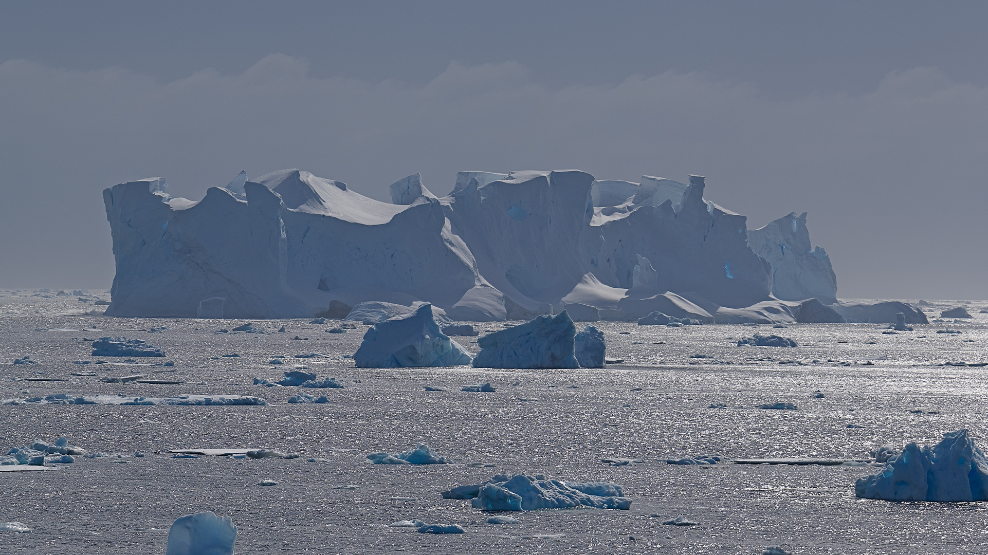 Expeditions-Reise in die Antarktis mit 'Roald Amundsen', Hurtigruten