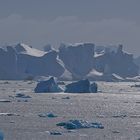 Expeditions-Reise in die Antarktis mit 'Roald Amundsen', Hurtigruten