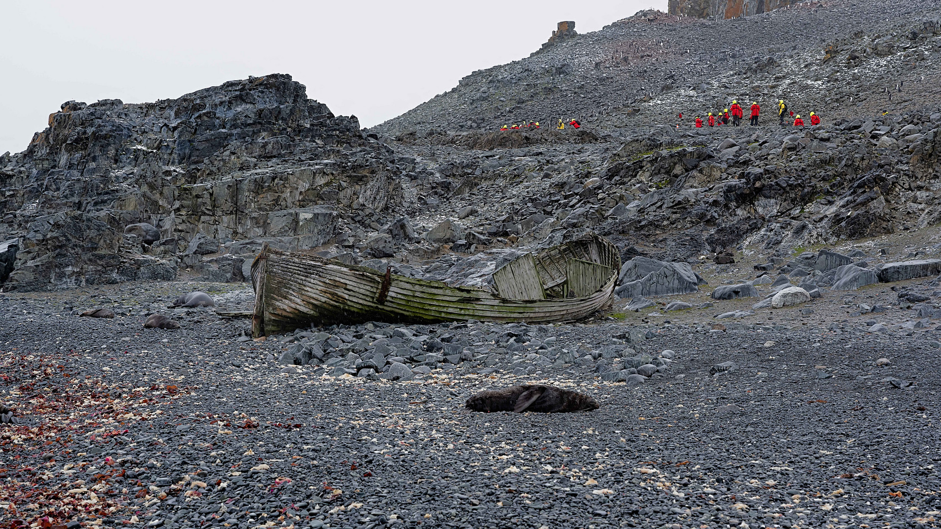 Expeditions-Reise in die Antarktis mit 'Roald Amundsen', Hurtigruten