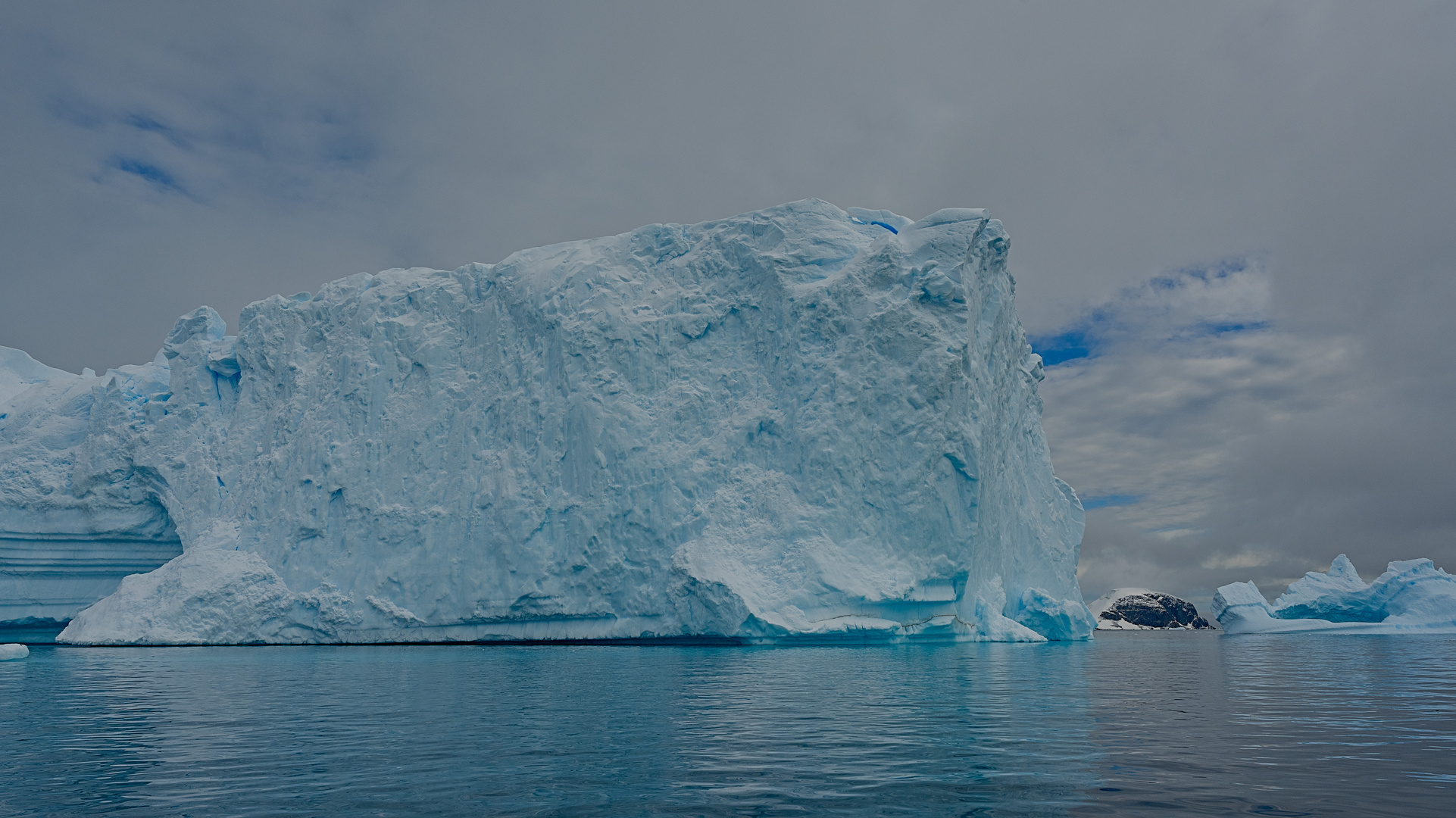 Expeditions-Reise in die Antarktis mit 'Roald Amundsen', Hurtigruten