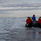 Expeditions-Reise in die Antarktis mit 'Roald Amundsen', Hurtigruten