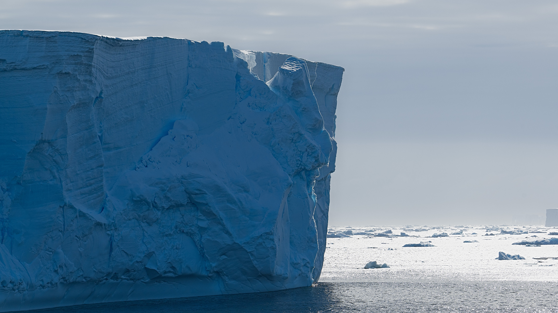 Expeditions-Reise in die Antarktis mit 'Roald Amundsen', Hurtigruten