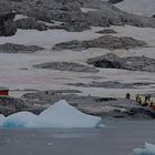 Expeditions-Reise in die Antarktis mit 'Roald Amundsen', Hurtigruten