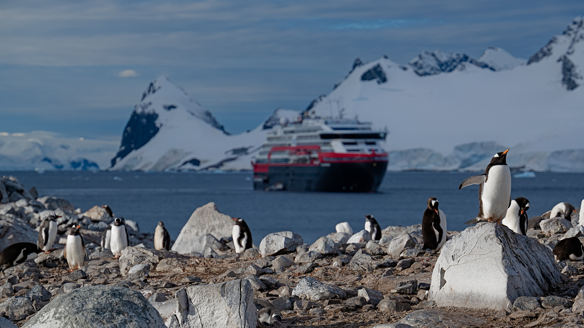 Expeditions-Reise in die Antarktis mit 'Roald Amundsen', Hurtigruten