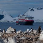 Expeditions-Reise in die Antarktis mit 'Roald Amundsen', Hurtigruten