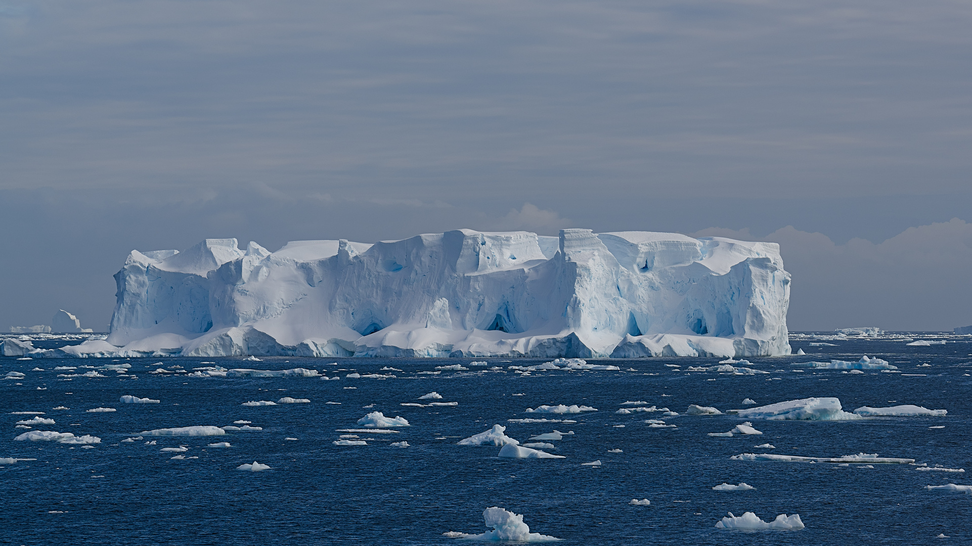 Expeditions-Reise in die Antarktis mit 'Roald Amundsen', Hurtigruten