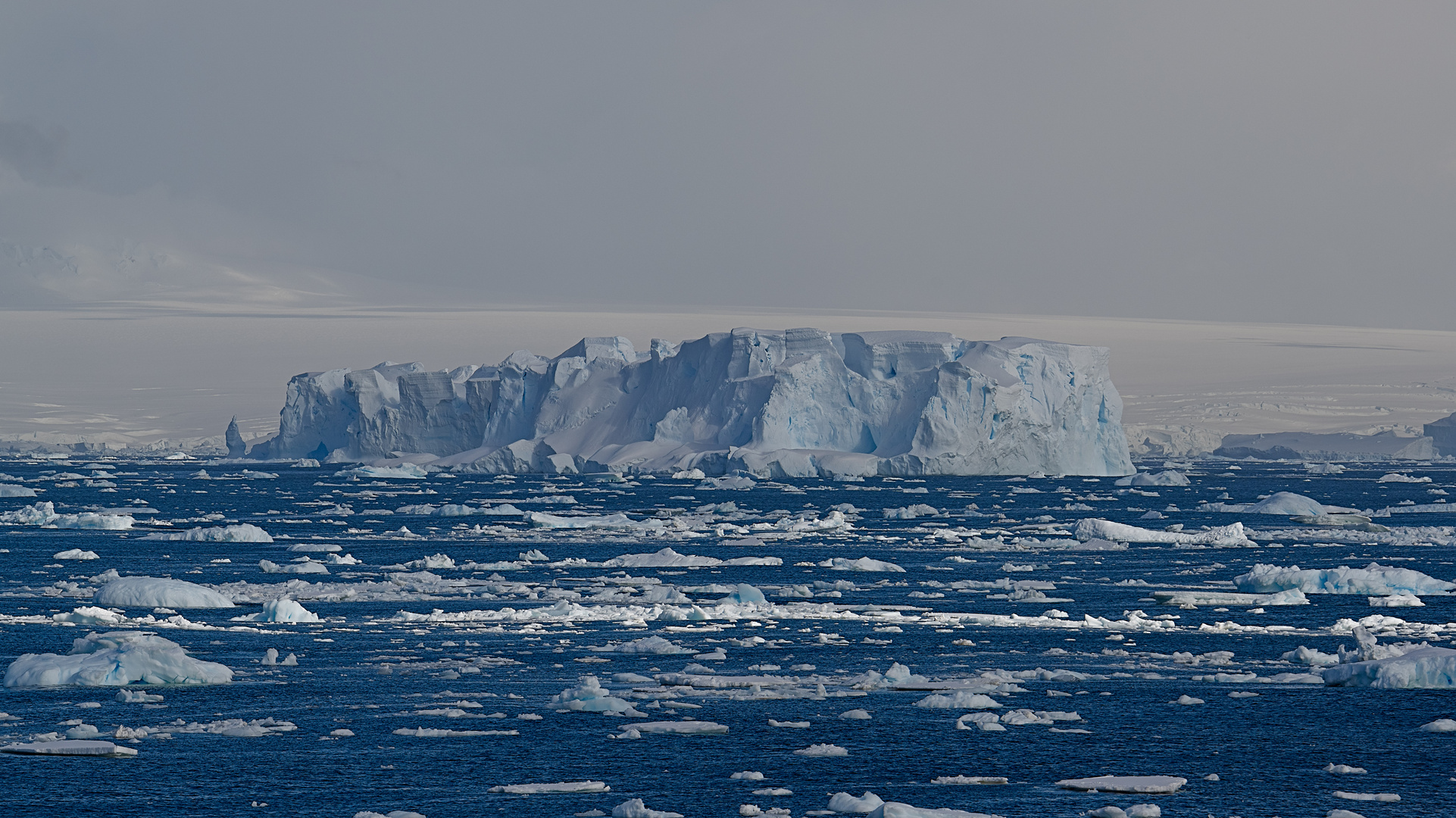 Expeditions-Reise in die Antarktis mit 'Roald Amundsen', Hurtigruten