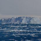 Expeditions-Reise in die Antarktis mit 'Roald Amundsen', Hurtigruten