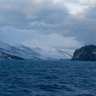 Expeditions-Reise in die Antarktis mit 'Roald Amundsen', Hurtigruten