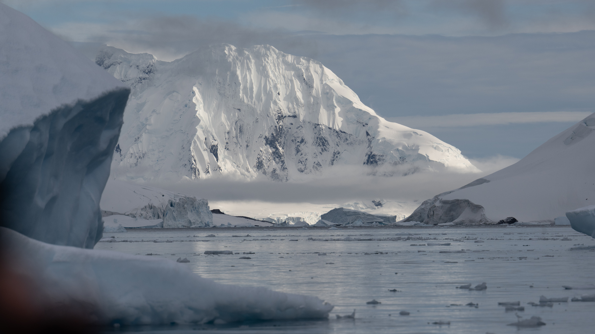 Expeditions-Reise in die Antarktis mit 'Roald Amundsen', Hurtigruten