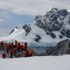 Expeditions-Reise in die Antarktis mit 'Roald Amundsen', Hurtigruten