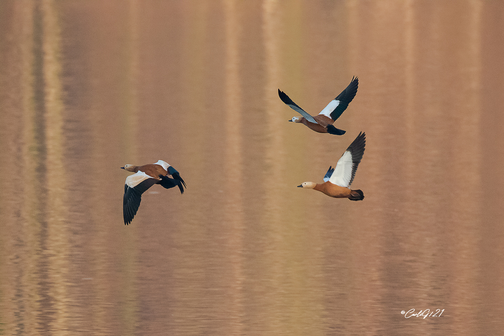 Experiment.. Abflug in den goldenen Abend