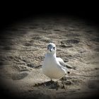 Experimente mit Linsen am Strand