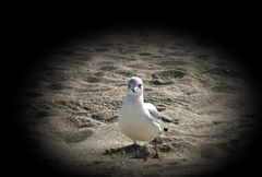 Experimente mit Linsen am Strand