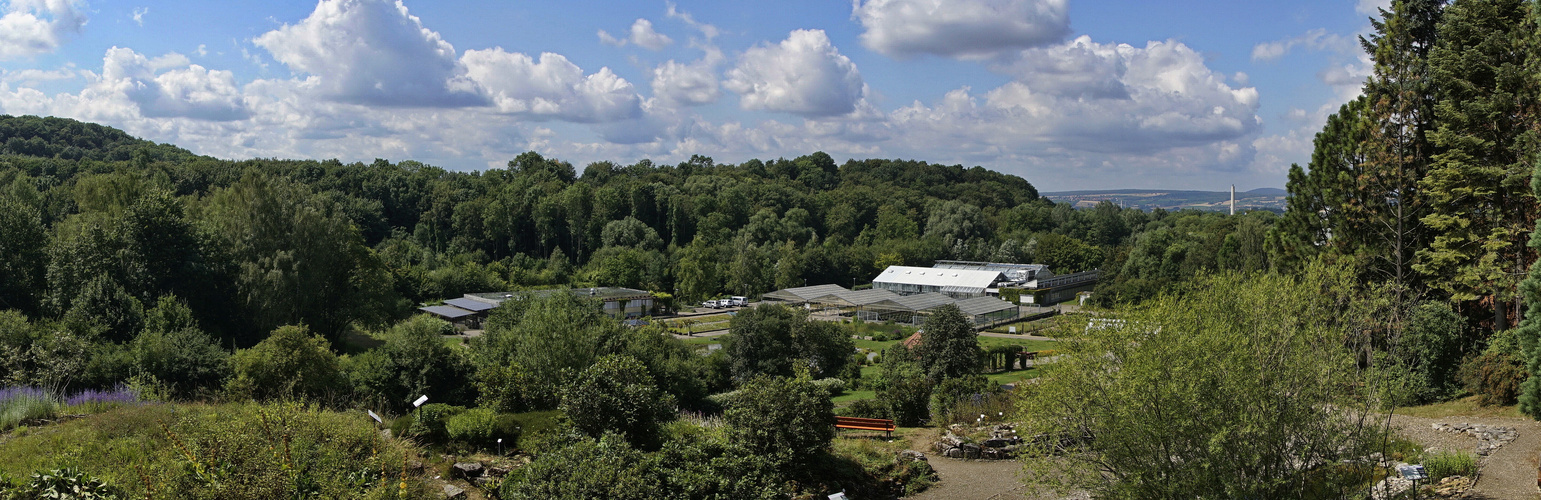 Experimenteller Botanischer Garten