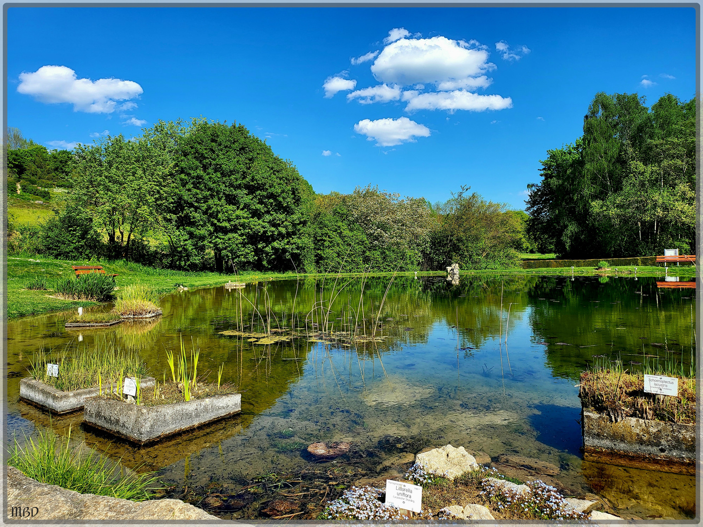 Experimenteller Botanischer Garten