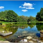 Experimenteller Botanischer Garten