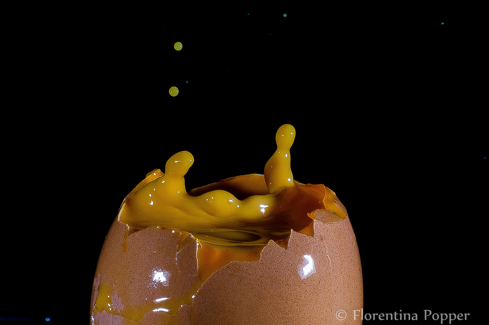 Exploded Egg