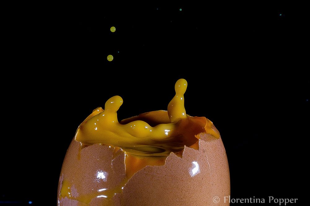 Exploded Egg