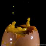 Exploded Egg