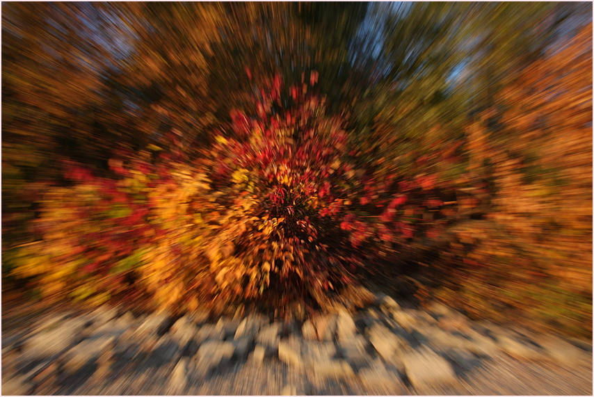 exploding autumn