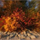 exploding autumn