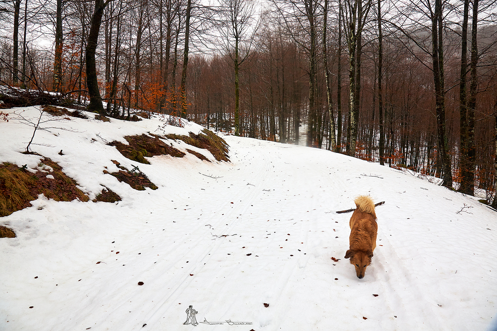 Explorando el invierno II