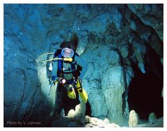 Exploring - Gran Cenote - Tulum, Mexico