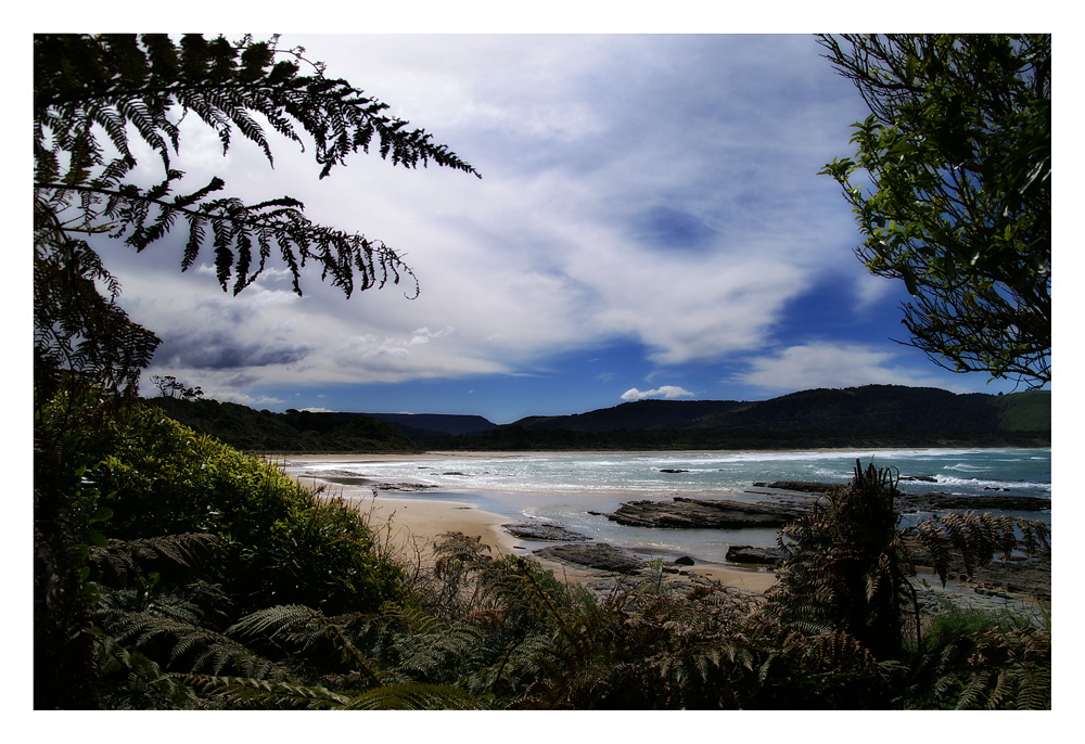 Exploring the Catlins with 'Bloke'