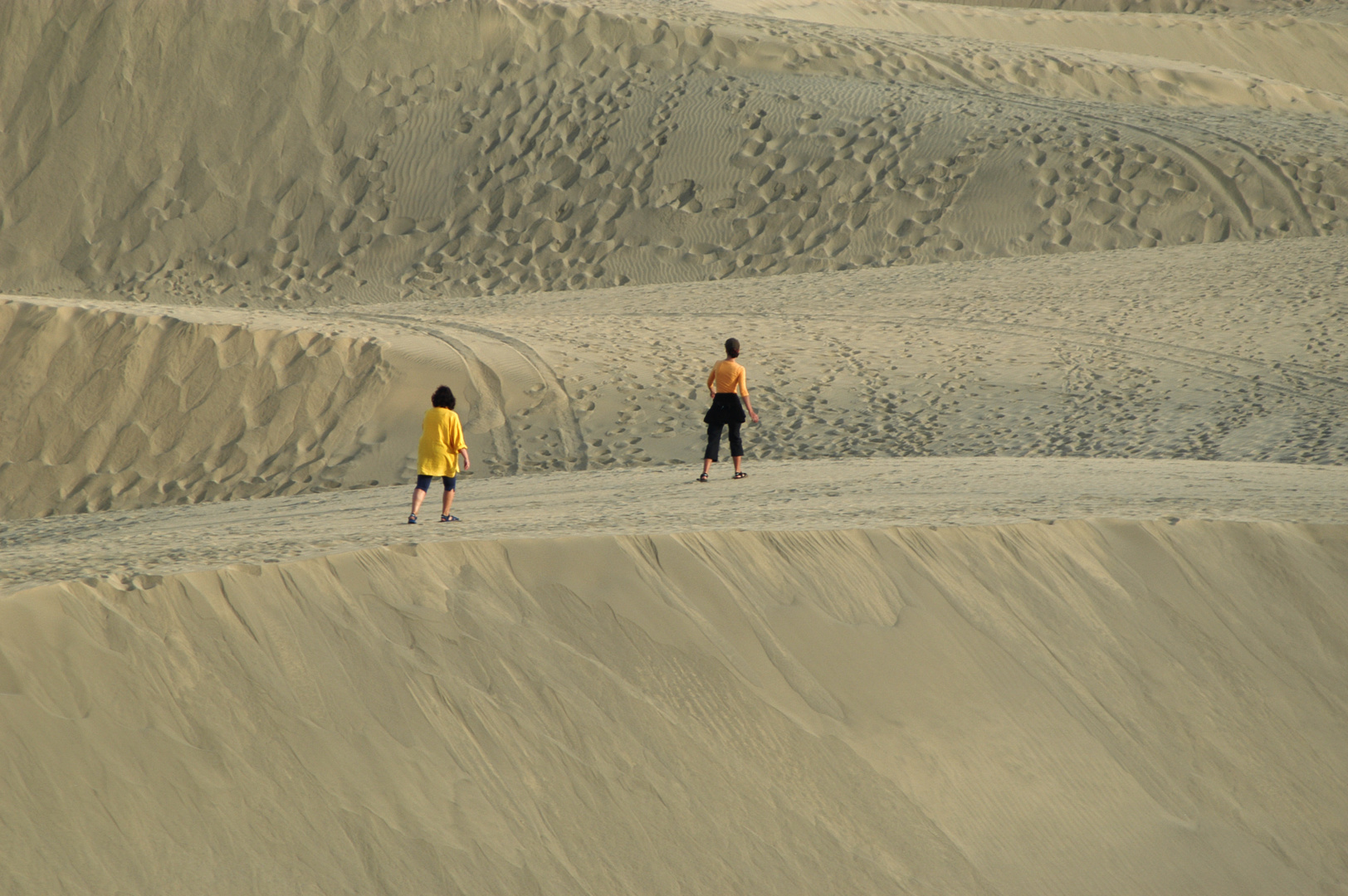 Exploring the dunes 2