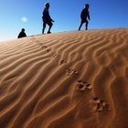 Exploring the Dunes