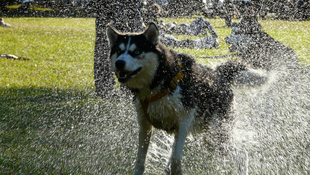 Explosíon de agua