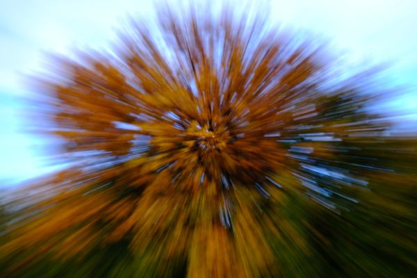 Explosion der Farben