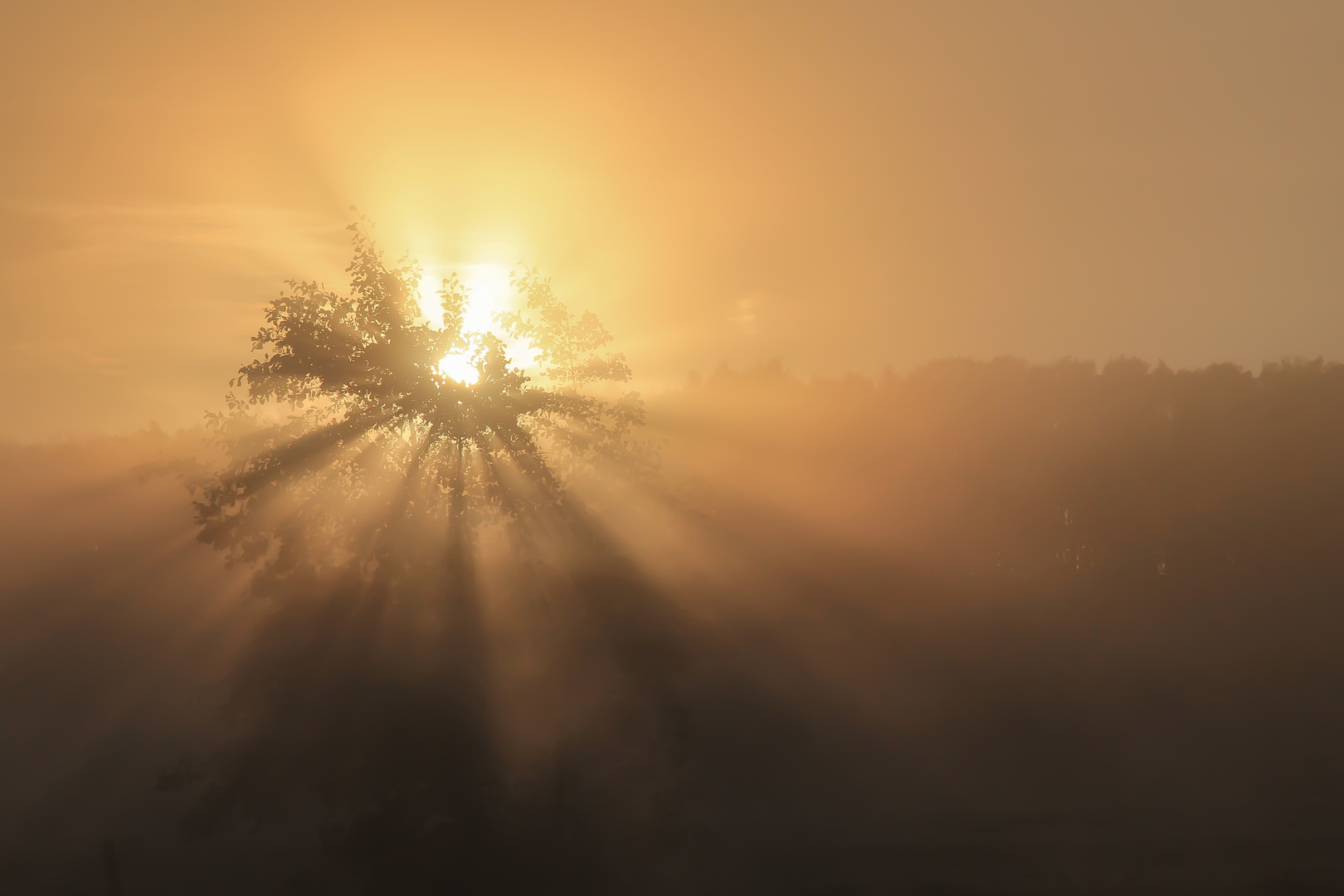 Explosion der Sonnenstrahlen