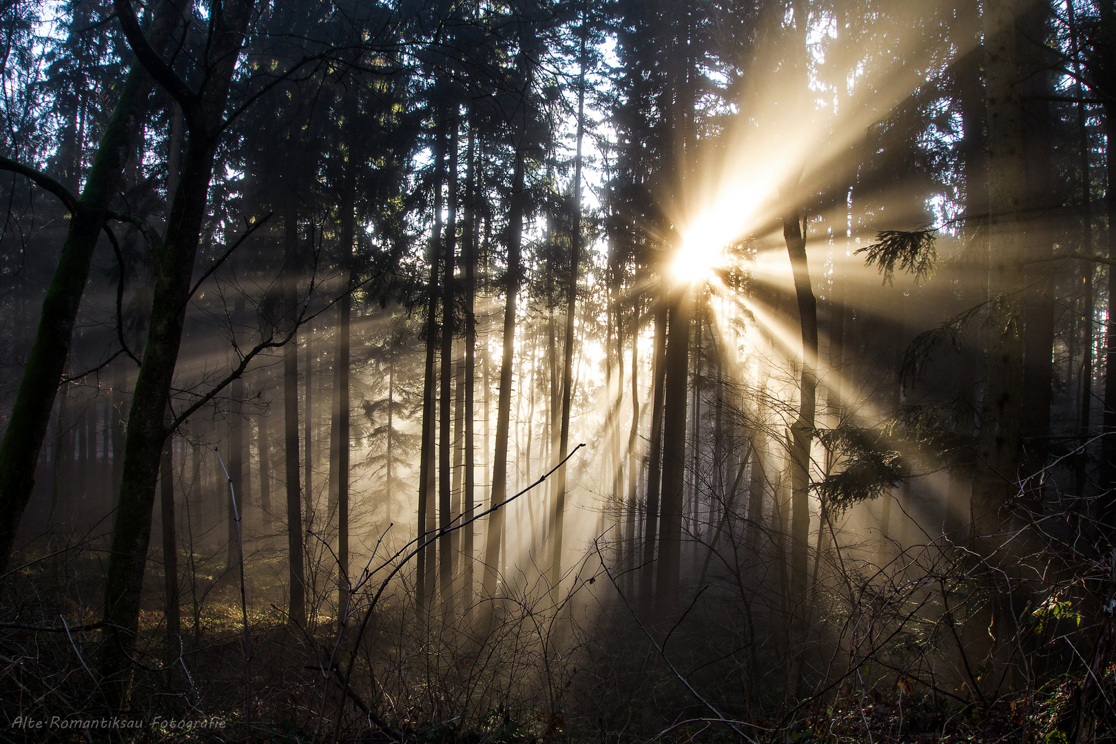 Explosion im Wald