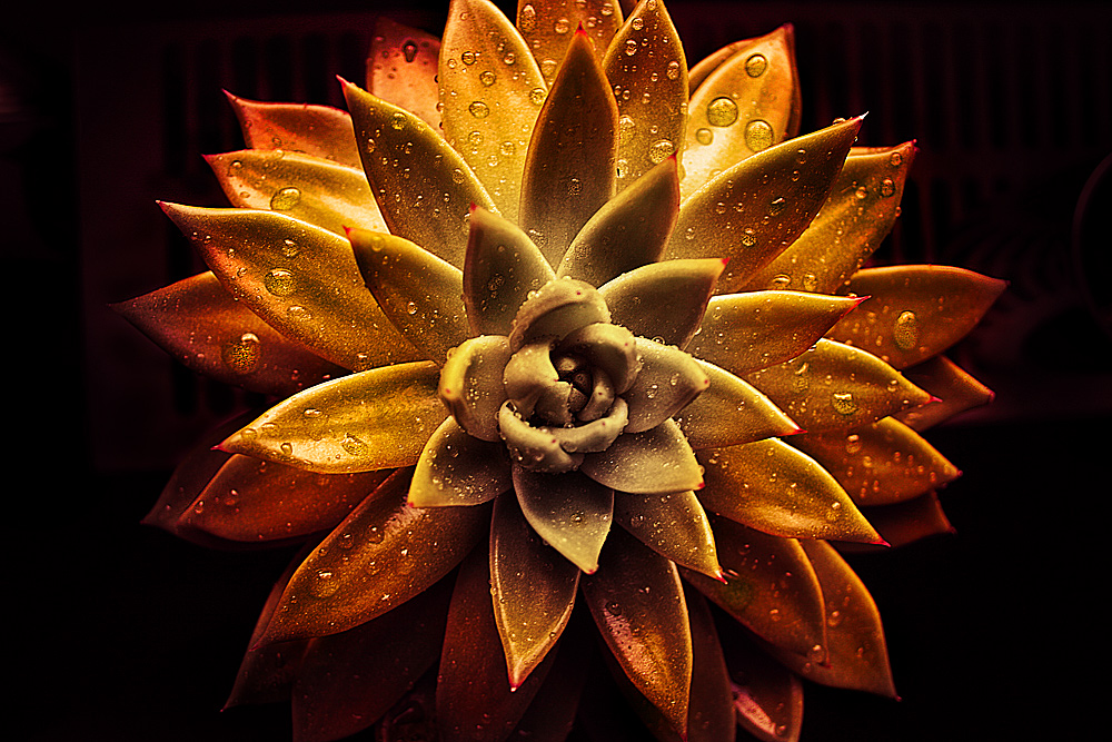 .explosiv. Foto & Bild abstraktes, farben, rot Bilder auf