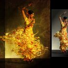 Explosive Flamenco